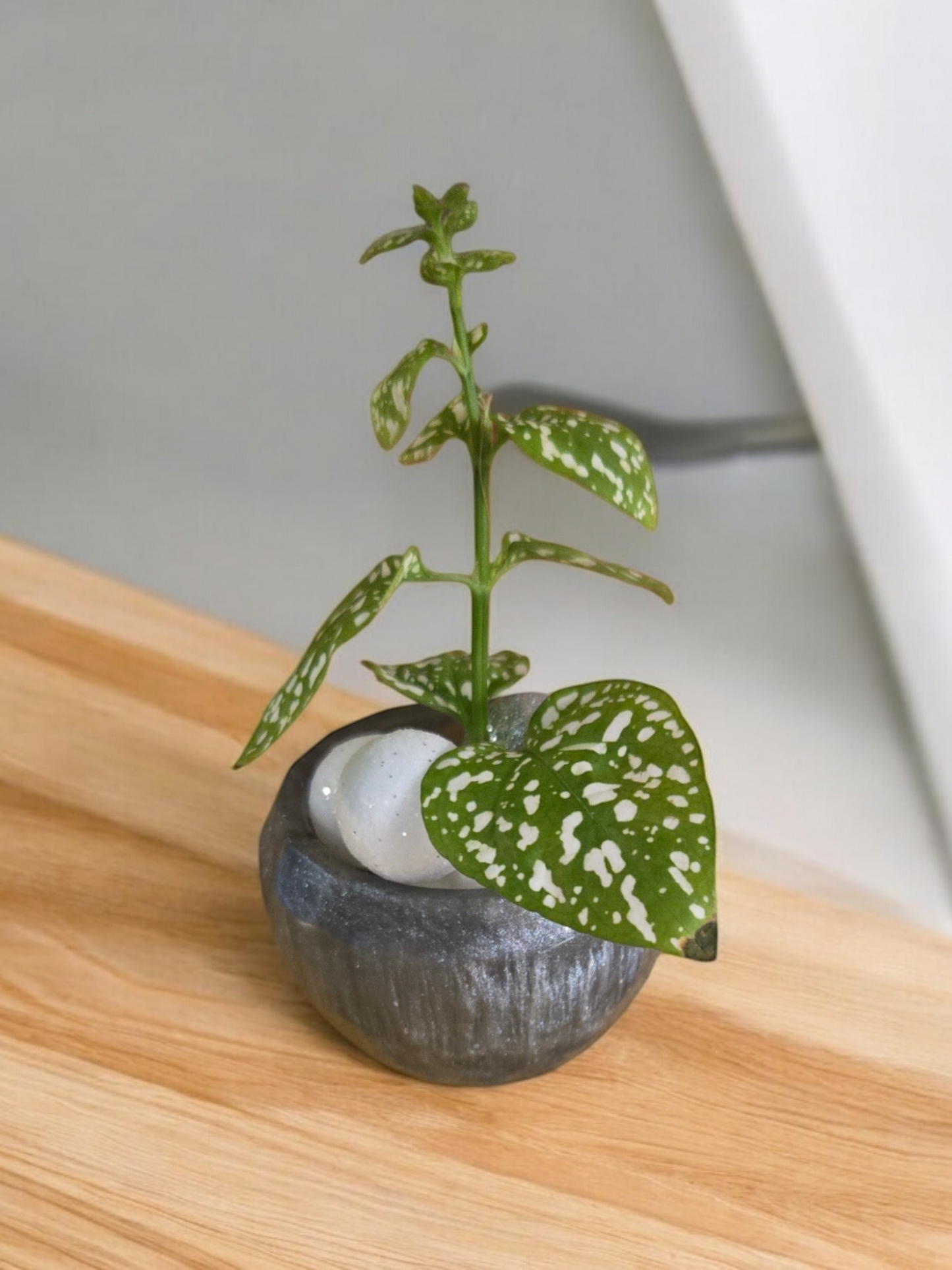 Mini planter